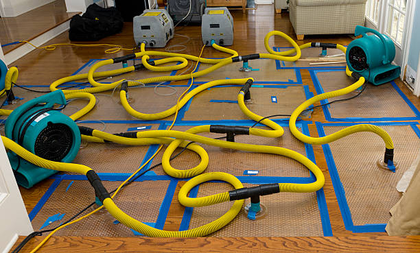 Professional Sewage Cleanup technician working in Leeds, UT